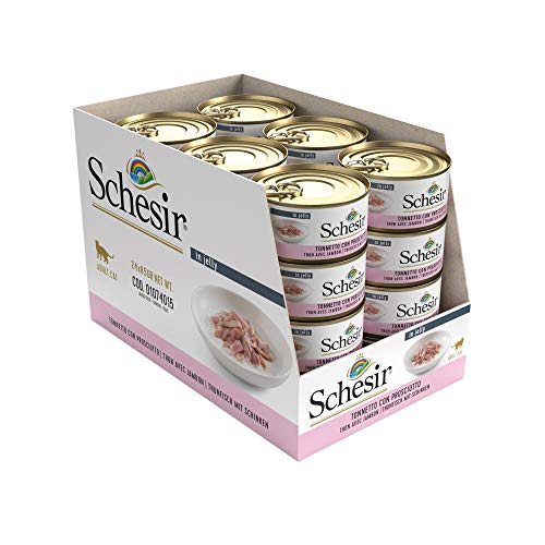 Schesir, Comida húmeda para Gatos Adultos, Sabor bacoreta con jamón en gelatina Blanda - Total 2 kg (24 latas monodosis 85 gr)