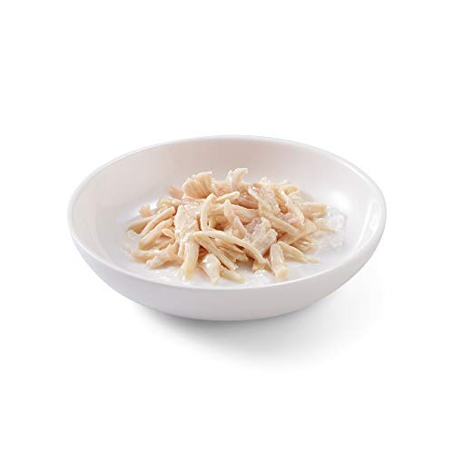 Schesir, Comida Húmeda para Gatos Adultos, Sabor filetes de Pollo en gelatina Blanda - Total 1,7 kg (20 Sobres x 85 gr)