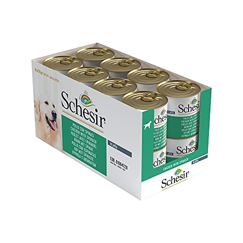 Schesir, Comida húmeda para Perros Adultos, Sabor Pollo con Espinacas, filetes en gelatina Blanda - Total 4,56 kg (16 latas x 285 gr)