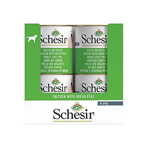 Schesir, Comida húmeda para Perros Adultos, Sabor Pollo con Guisantes, filetes en gelatina Blanda - Total 4,56 kg (16 latas x 285 gr)