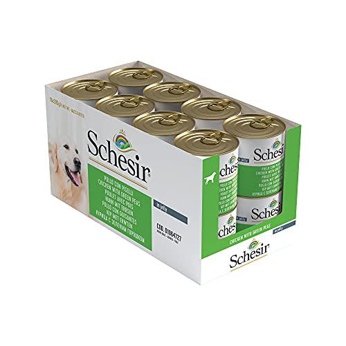 Schesir, Comida húmeda para Perros Adultos, Sabor Pollo con Guisantes, filetes en gelatina Blanda - Total 4,56 kg (16 latas x 285 gr)