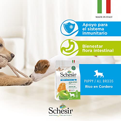 Schesir, Pienso Completo Y Equilibrado para Cachorros, Línea Natural Selection con Alto Contenido En Cordero, Croquetas - Formato Bolsa De 2,24 Kg