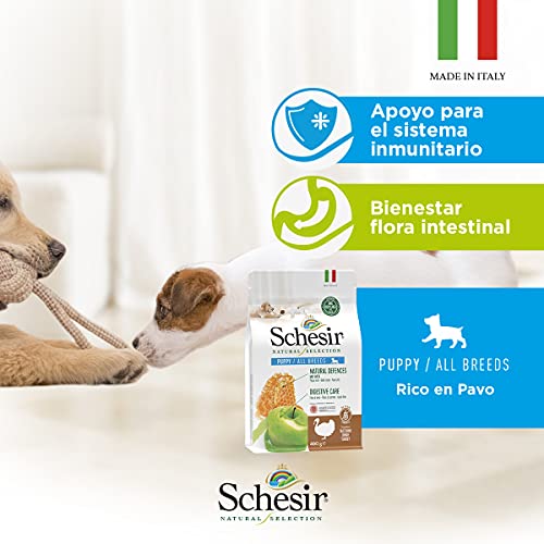 Schesir, Pienso Completo Y Equilibrado para Cachorros, Línea Natural Selection con Alto Contenido En Pavo, Croquetas - Formato Bolsa De 2,24 Kg