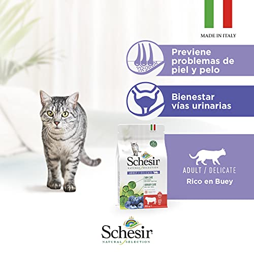 Schesir, Pienso Completo Y Equilibrado para Gatos Adultos, Línea Natural Selection con Alto Contenido En Buey, Croquetas - Formato Bolsa De 1,4 Kg