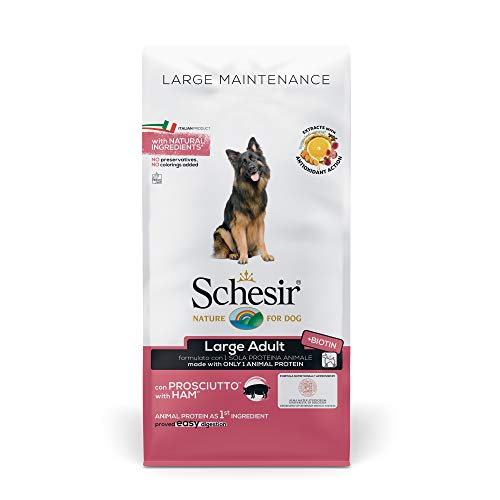 Schesir, pienso para Perros Adultos de tamaño Grande, Sabor jamón, línea Mantenimiento, croquetas - Formato Bolsa de 12 kg