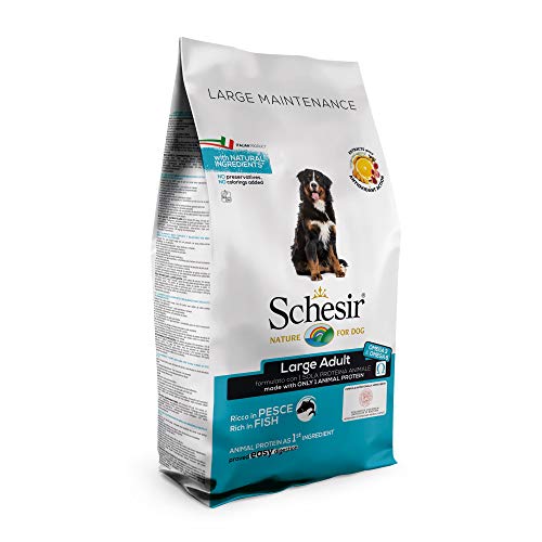 Schesir, pienso para Perros Adultos de tamaño Grande, Sabor Pescado, línea Mantenimiento, croquetas - Formato Bolsa de 12 kg