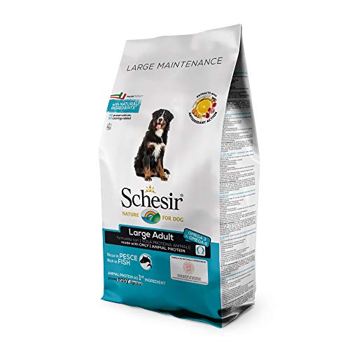 Schesir, pienso para Perros Adultos de tamaño Grande, Sabor Pescado, línea Mantenimiento, croquetas - Formato Bolsa de 12 kg