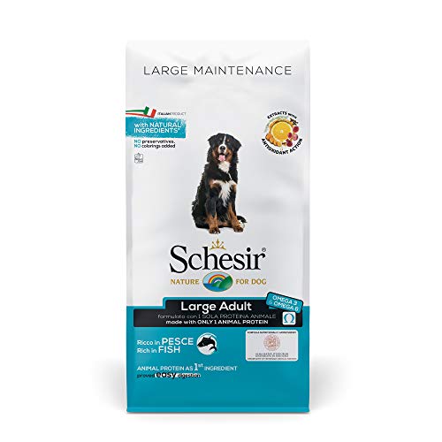 Schesir, pienso para Perros Adultos de tamaño Grande, Sabor Pescado, línea Mantenimiento, croquetas - Formato Bolsa de 12 kg