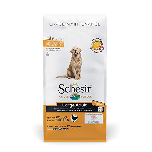 Schesir, pienso para Perros Adultos de tamaño Grande, Sabor Pollo, línea Mantenimiento, croquetas - Formato Bolsa de 12 kg