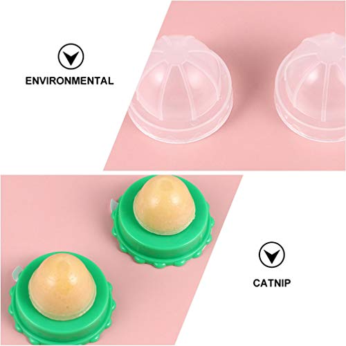 Scicalife Bola de Hierba Gatera Bocadillos para Gatos Golosinas para Gatos Golosinas para Gatos con Tapa Fáciles de Almacenar Ricas en Vitaminas Promueven El Agua Potable para Gatos (5