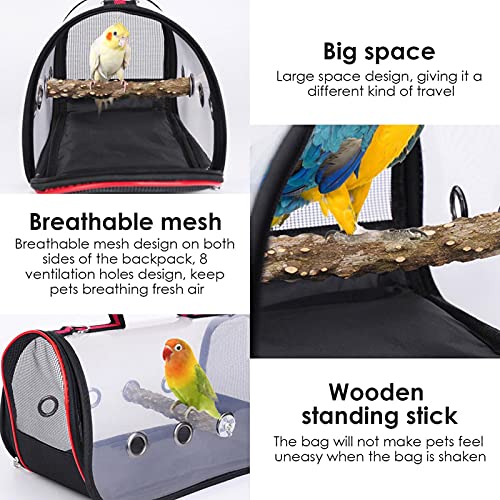 sdfsa Bolsa De Viaje Portátil para Loros Transportín De Viaje para Loros para Mascotas Jaula Transpirable Pájaros Transparentes para Periquitos Mini Guacamayos Cacatúas Loros