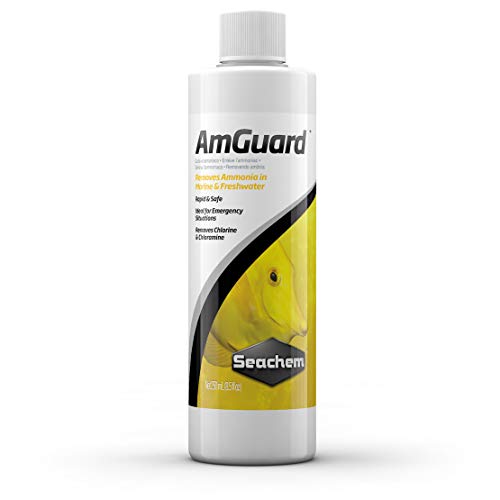 Seachem Líquido AmGuard, 100 ml