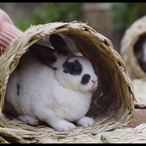 Seagrass House Túnel Hutch, Cabaña tejida para acostarse o dormir | Comodidad, calidez, seguridad, caja fuerte para mascotas, hogar comestible para conejos, conejos, chinchilla y animales pequeños