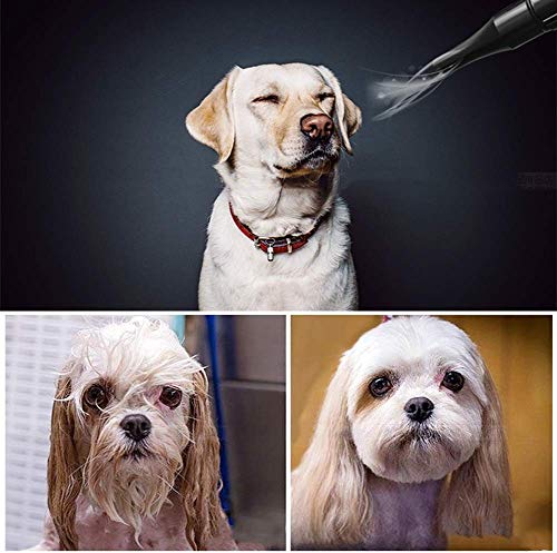 Secador De Cabello Profesional Secador Perro Secador De Pelo para Perros Gatos Mascotas Soplador De Belleza Mascotas Secador De Cabello Temperatura Y Velocidad Ajustable