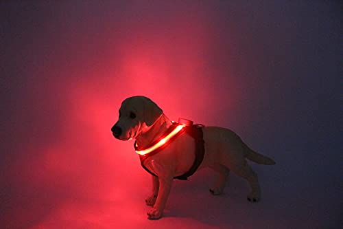 SELOY Arnés Perro Luminoso, Luces Leds, Seguro, cómodo, Transpirable y Ajustable (Azul, S)