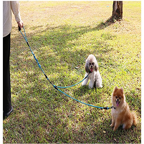 Separador de correa de adiestramiento de perro largo-cinturón de doble cadena para perro grande-