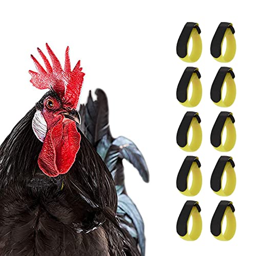 Shanrya Banda para el Cuello de Gallo, Hebilla Giratoria de Cuello de Pollo Versión Mejorada Material de Nailon Ajustable para Suministros de Pollo para Mascotas(Amarillo, Potenciar)