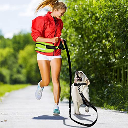 Shanrya Riñonera Correa para Perro, Cintura Correa para Perro Durable Reflectante Deportes Ligero para pasear al Perro para Correr de Noche