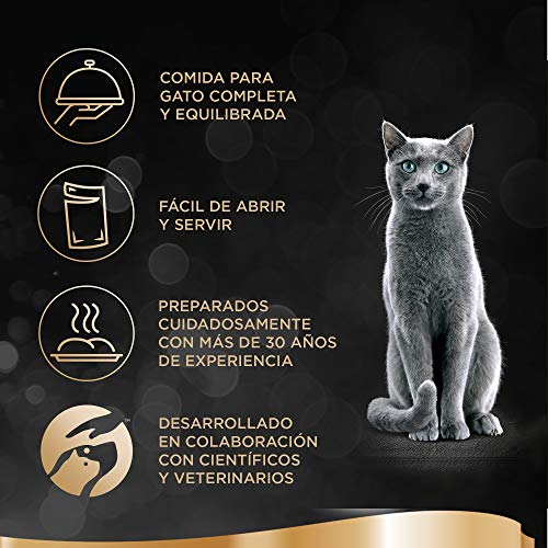 Sheba Delicatezze Comida Húmeda para Gatos Selección de Aves en Gelatina, Multipack (4 Cajas x 12 Sobres x 85g)