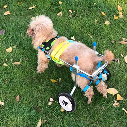 Silla de Ruedas para Mascotas,Rueda Doble Ajustable Ligera XS Widen Discapacitados Paseos Asistidos por Perros Coche Portátil Mascotas Traseras Ejercicio Piernas Carro Auxiliar para Perros y Gatos(XS)