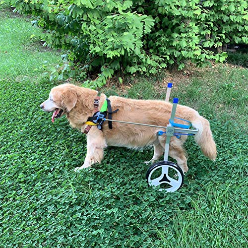 Silla de Ruedas para Perro Gato Conejo para Rehabilitación de Piernas, Ayudar para Perros Mayores o con Problema de Movilidad Patas Traseras, Carrito para Perritos 22~39 pounds