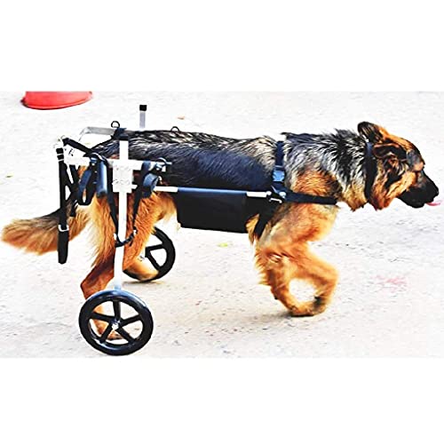 Silla de Ruedas para Perro Mediana Grande Carro para Perros Aparato Ortopédico de Pierna Patas/Gato/Perrito de Hind Rehabilitación, 2 Ruedas (Size : Large)