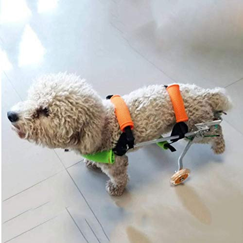 Silla de Ruedas Perro por Las Patas traseras Grandes, Peso 8,8 a 22 Libras, Vientre, sin Banda Protect Columna Vertebral, Correa Libre, Las piernas traseras de rehabilitación (Size : S)