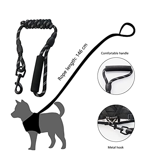 SIVEIS Juego de Arnés y Correa para Gatos a Prueba de Escape, Arnés de Chaleco Ajustable Reflectante Cómodo Adecuado para Gatos Cachorros Conejos Caminar, Con Collar de Gato (XS)