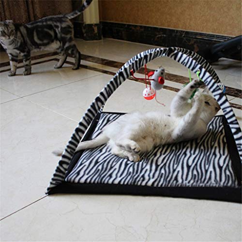 SJYDQ Divertida Tienda de Juegos para Gatos con Bolas Colgantes, Juguetes, Bolas, Gatos, Cama, Tienda, Alfombrilla para Gatitos, Actividad de Ejercicio, Manta para Jugar, Suministros para Mascotas