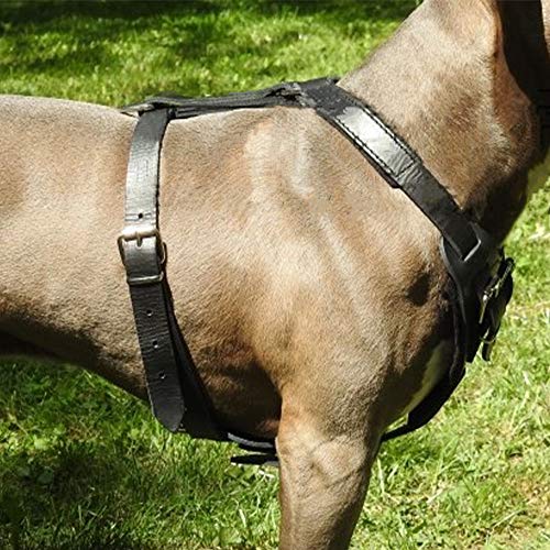 SK9 Arnés Perro de Cuero Natural Creado para Perros de Trabajo ,Calidad Alemana (Talla XL (90-110 cm), Negro)