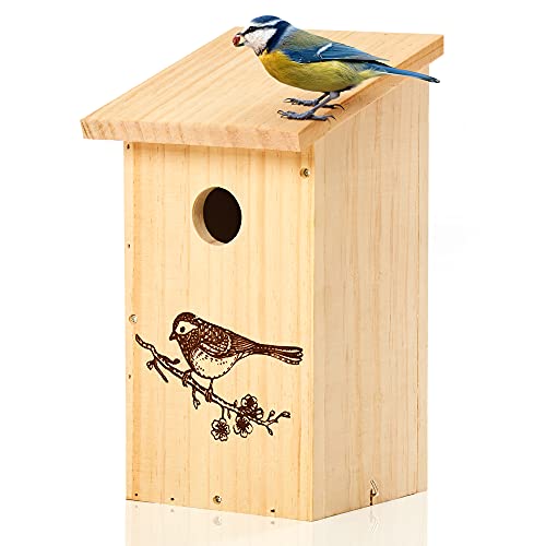 Skojig Casa para pájaros con diseño/Techo Plano