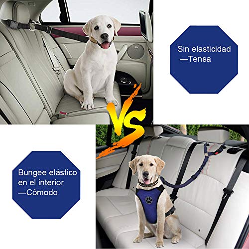 SlowTon Cinturón de Seguridad para Perros, Paquete de 2 Cinturón de Seguridad para el Asiento del cajero con Banda elástica y Reflectante Se Conecta con el vehículo con Brazo