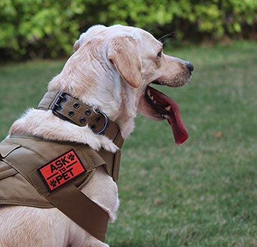 S.Lux Collares para Perros, Antidesgaste Tácticos al Aire Libre Collares para Perros Plomo De Entrenamiento Cinturones para Perros Nylon Militar con Metal D Hebilla Collar(Camuflaje, M)