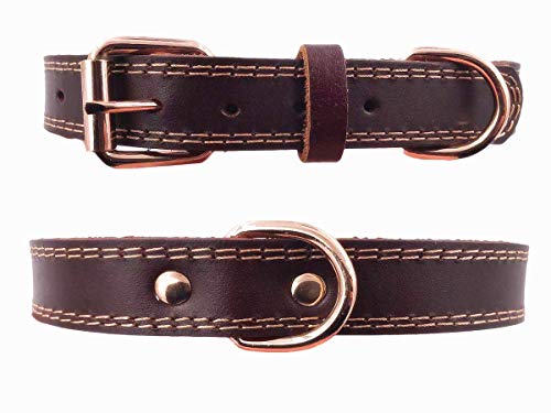 SLZZ Collar de Piel de para Perro, Tacto Suave Resistente Ajustable, para Hombres y Mujeres Perros pequeños medianos y Grandes