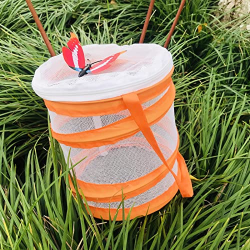 SM SunniMix Jaula de Malla Plegable para Insectos, Jaula de hábitat, Kit de Explorador al Aire Libre para niños Mayores de 3 años, Regalos de cumpleaños