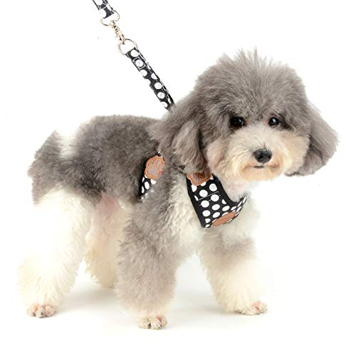 smalllee_lucky_store - Suave Malla de Nailon para Perro de Talla Media