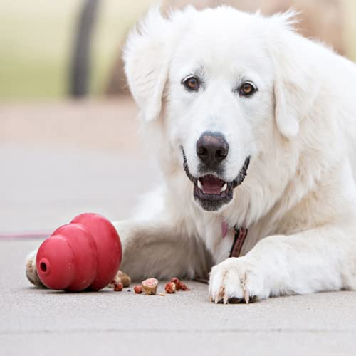 Smallma Juguete de Goma Natural para Perros, Juguete de Bola de Fugas de Comida, Molar de Peluche de Golden Retriever Anti-mordedura, persecución de Perros de Entrenamiento de Calabaza