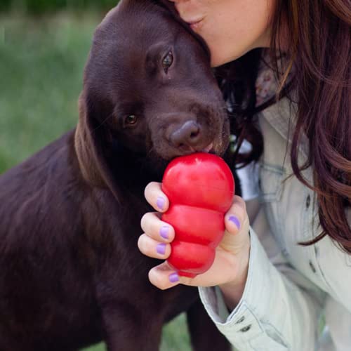 Smallma Juguete de Goma Natural para Perros, Juguete de Bola de Fugas de Comida, Molar de Peluche de Golden Retriever Anti-mordedura, persecución de Perros de Entrenamiento de Calabaza