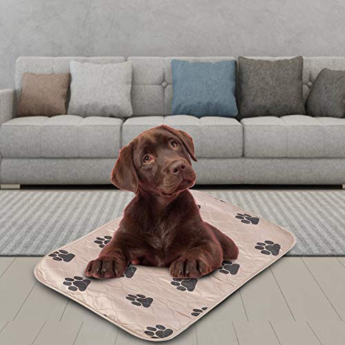 Smandy Almohadillas para Perros, Estera Impermeable para la orina Orina de la Cama Estera Reutilizable para el Entrenamiento del Perro Estera de alimentación Lavable Alfombra de Whelping(Marrón X)