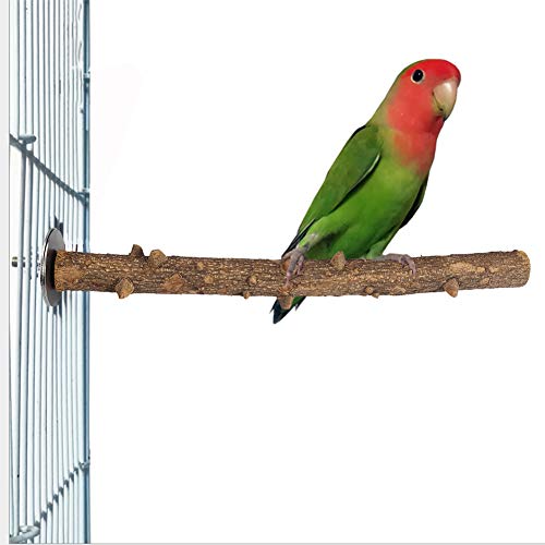 Soporte de Madera para pájaros y Loros Fresca Espinosa Madera Perca Soporte Pájaro Madera Chew Masticar Juguete Pájaro Pata Moler Percha Jaula Colgando Juguete de Entrenamiento(1.5~2.5×25cm)