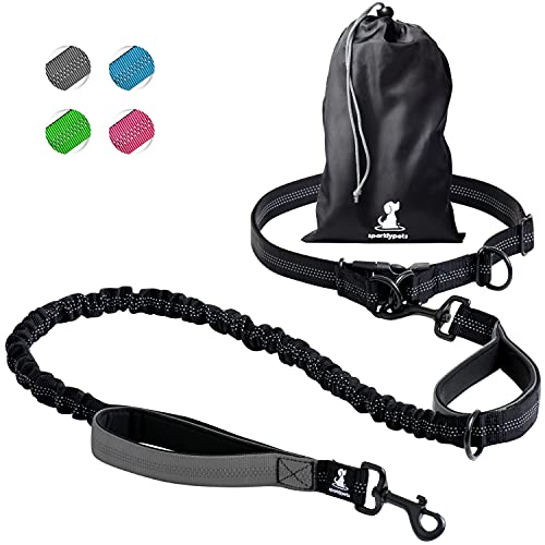 SparklyPets - Correa Manos Libres para Perros de Raza Mediana y Grande, arnés Profesional con Costuras Reflectantes, para Entrenar, Caminar, Trotar y Correr con tu Mascota (Gris, para 1 Perro)