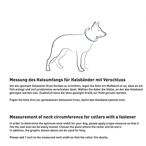 SPRENGER Collar de Perro Neck-Tech Fun con Cierre ClicLock I Collar de Perro de Acero Inoxidable, Mate, Cadena de eslabones Planos Intercambiables, 60cm