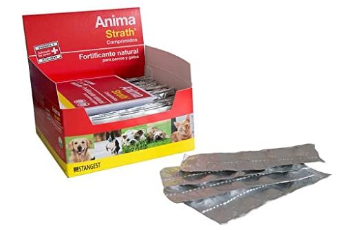 STANGEST Anima Strath 360 Comp 1 Unidad 400 g