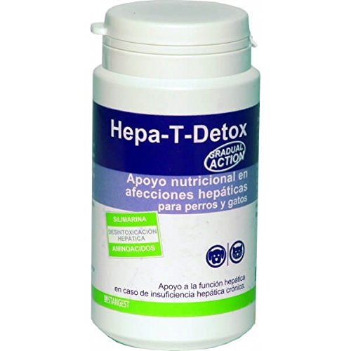 STANGEST Hepa T Detox 60 Comp 1 Unidad 300 g