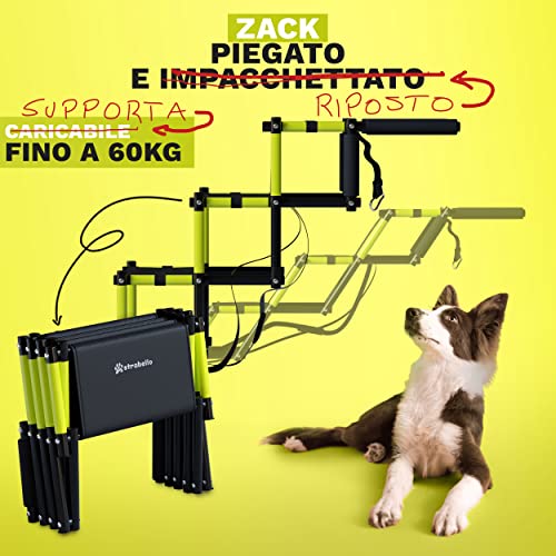 STRABELLO Escalera para perros prémium con reflectores de neón, para perros pequeños y grandes, rampa para perros, escalera para perros, plegable, adecuada para casi todos los coches