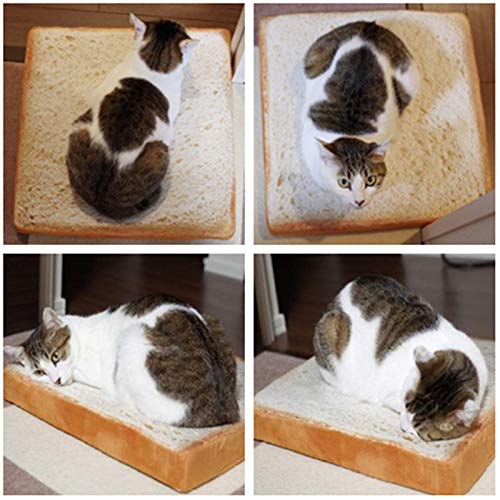 SunshineFace Colchón de La Cama del Gato del Animal Doméstico del Pan de Simulación Cojín Suave con La Cubierta Desmontable para Los Perros Pequeños de Los Gatos