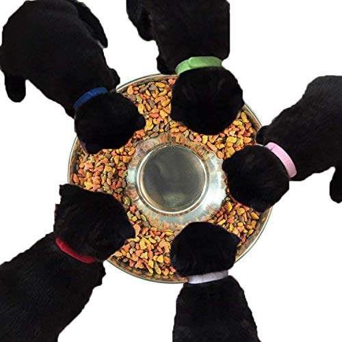 SUOXU Comedero para cachorros, cuencos para cachorros, cuencos para perros, de acero inoxidable, cuenco para destete para cachorros, se puede utilizar para varios cachorros (2 unidades de 26 cm)