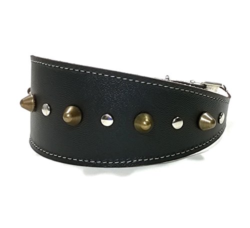 Superpipapo Collar de Cuero Negro para Galgo, Podenco, Whippet y Teckel con Pinchos, Todas Las Tallas, Correa Opcional, Piel de Calidad, Diseño Hecho a Mano, 45 cm Galgo: Cuello 33-38 cm, Ancho 55mm