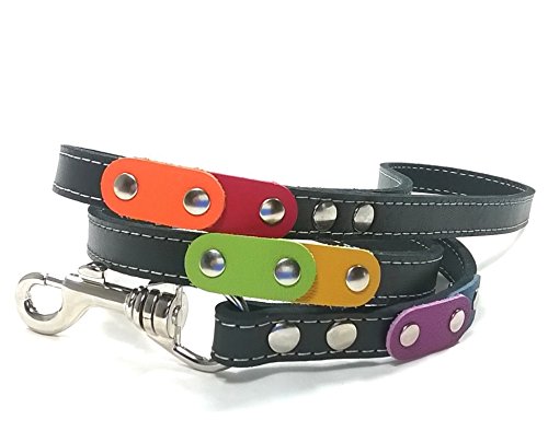 Superpipapo Conjunto Collar Perros Pequeños y Chihuahuas con Correa | Cuero Marron | Libertad con los Colores de Arco Ciel