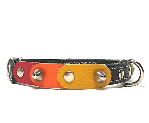 Superpipapo Conjunto Collar Perros Pequeños y Chihuahuas con Correa | Cuero Marron | Libertad con los Colores de Arco Ciel